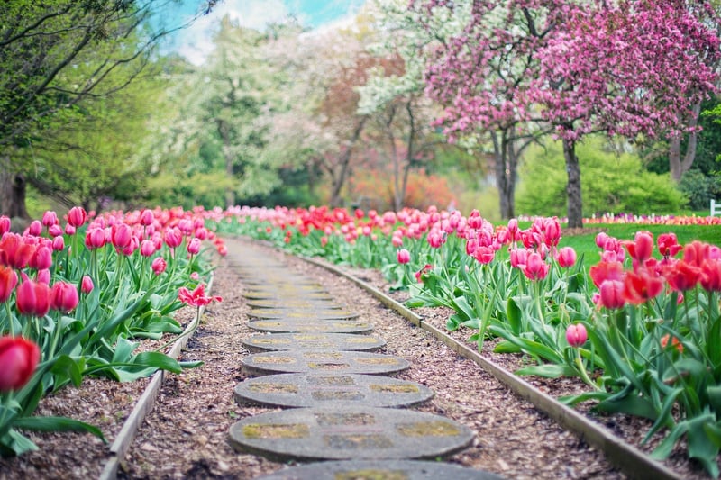 Enchanted Garden Pathways
